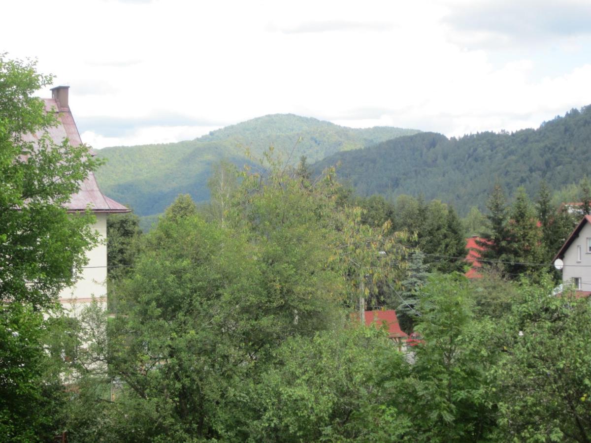Willa Granit Krościenko Exteriör bild